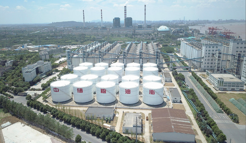 中储粮镇江粮油公司增建油罐总承包工程 中国安装工程优质奖“中国安装之星”